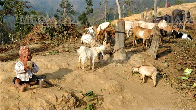 Chandra Bahadur Dangi 