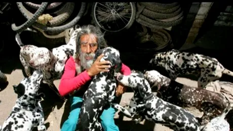 Bărbatul care colecționează dalmațieni