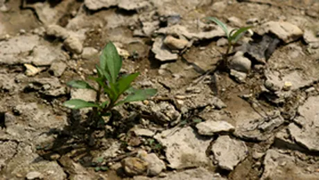 Vremea isi face de cap