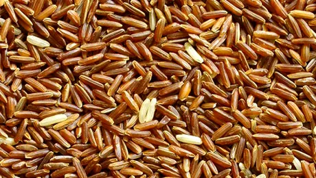 Orez contaminat cu cesiu radioactiv a fost gasit in Japonia