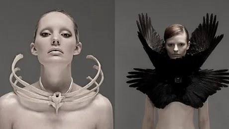 Animalele moarte, „materialul” colecțiilor unui designer controversat