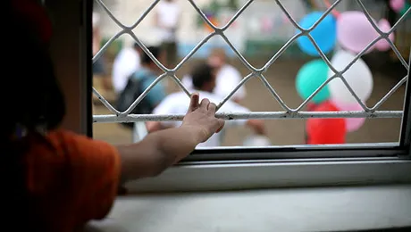 7 vedete care au fost adoptate