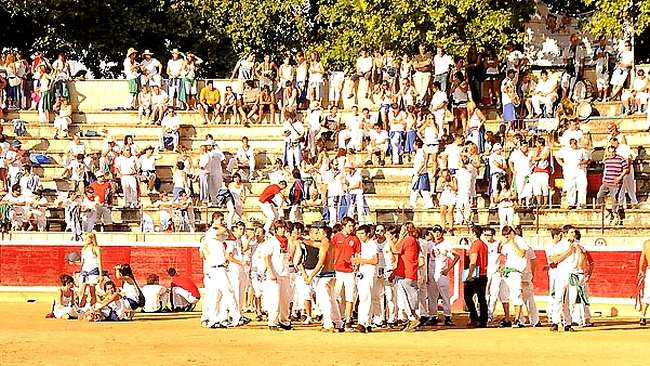 Spectatorii panicati au facut schimb cu taurul: ei in arena si animalul in tribuna!