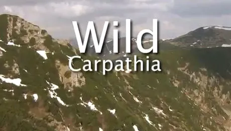 „Wild Carpathia”, un documentar-fenomen despre România