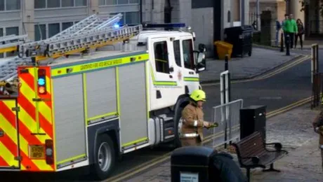 A rămas cu capul blocat în coșul de gunoi, dar nimeni nu l-a ajutat!