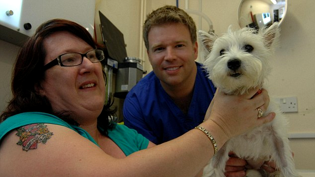 Snowy, catelul care a inghitit cinci pisici de portelan