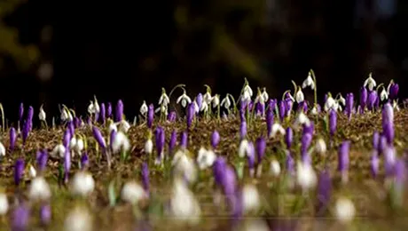 Prognoza meteo pentru luni, 23 februarie 2015