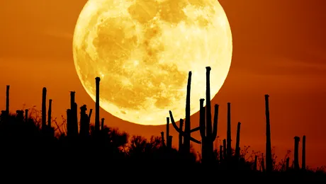 Belgienii au inventat berea noptilor cu luna plina