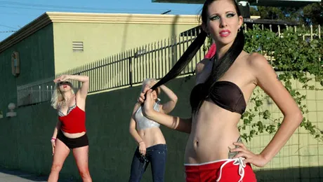 Record de amenzi pentru prostituție!