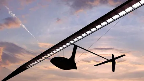 Iata primul ornitopter din lume, zburand! (Video)