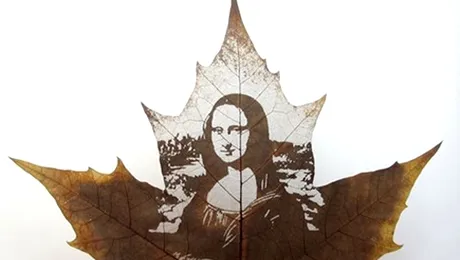 Arta minimalista pe frunze de artar (Poze)