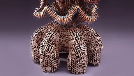 Iata cum foloseste artista Jennifer Maestre creioanele colorate (Poze)