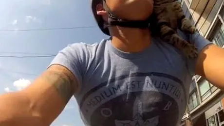 Și pisicile se pricep să meargă pe bicicletă (Video)