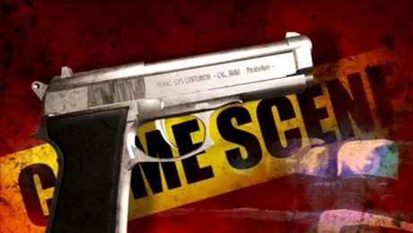 10 cazuri rezolvate la decenii după ce polițiștii le-au abandonat