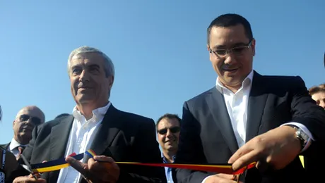 Panglicarilor, voi tăiați frunză la câini!