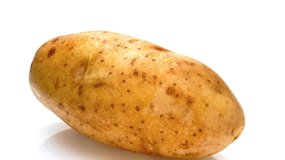 Comisia Europeana a aprobat cultivarea cartofului modificat genetic (video)