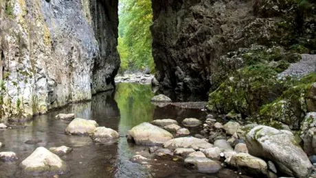 Cheile Râmețului – îngusta lume de apă și stâncă din Munții Trascăului