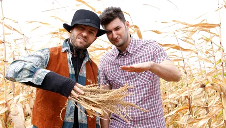 Smiley iubeşte pe gratis!