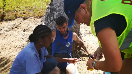 Epuizat după probele din ”Ultimul Trib”, actorul Silviu Mircescu găseşte putere să glumească: ”Naufragiatul este cel mai greu rol al meu”