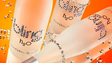 Ai plati 2.600 de dolari pentru o sticla cu apa?