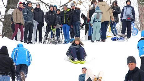 Zilele de 24 și 31 decembrie 2014 ar putea fi declarate nelucrătoare