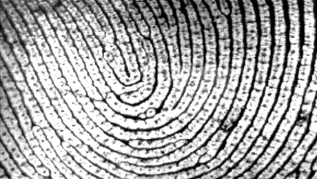 Australienii folosesc nanotehnologie pentru a lua amprentele