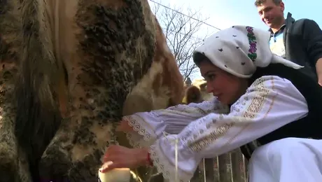 Nicoleta Luciu a ajuns la coada vacii