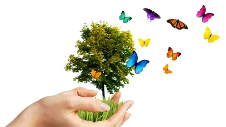 Azi sărbătorim Ziua Pământului!