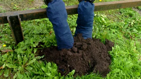 Ce se ascunde în spatele acestei imagini care a pus pe jar poliția