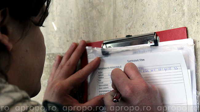 Oamenii au completat CV-ri pe unde au putut
