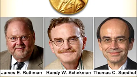 Au fost declarați câștigătorii Premiului Nobel pentru Medicină 2013