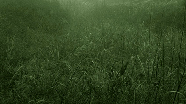 Nara Dreamland în Japonia