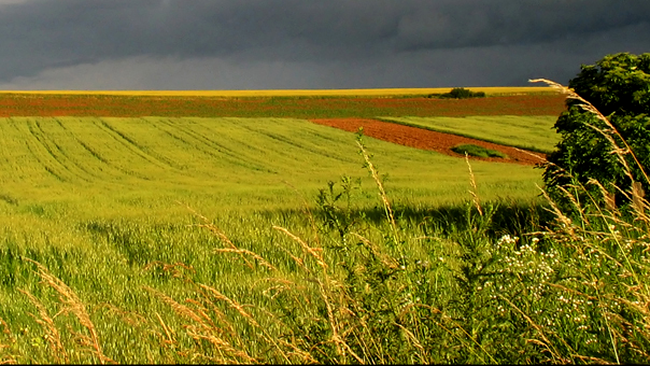 Intra pe Vremea.apropo.ro!