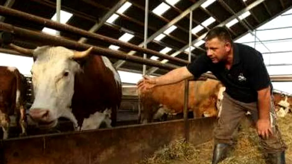Cum poti deveni fermier in Romania (Video)
