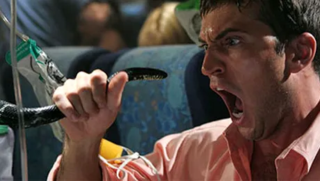 Teroristii islamisti trec la ecologie!