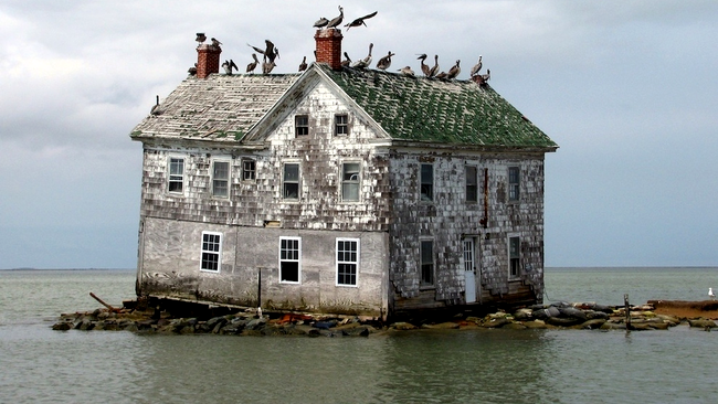 Holland Island în Golful Chesapeake