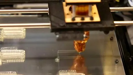 Vase de sânge create cu o imprimantă 3D și cu zahăr