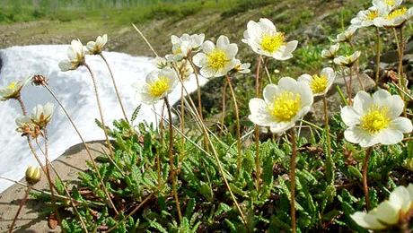 Vremea.Apropo.ro: Prognoza meteo până pe 17 martie