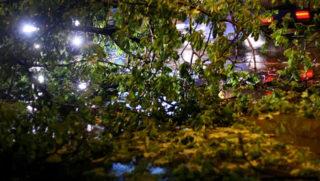 Furtuna de aseara a devastat Bucurestiul