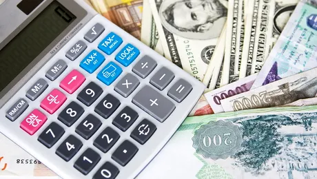 CE: Romania nu indeplineste criteriile pentru aderarea la zona euro