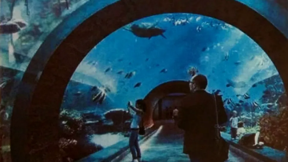 Bucureștiul ar putea avea un acvariu uriaș, cu tunel pentru observarea vietăților marine