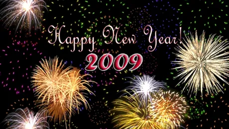 2009, anul inovatiei si al marilor descoperiri