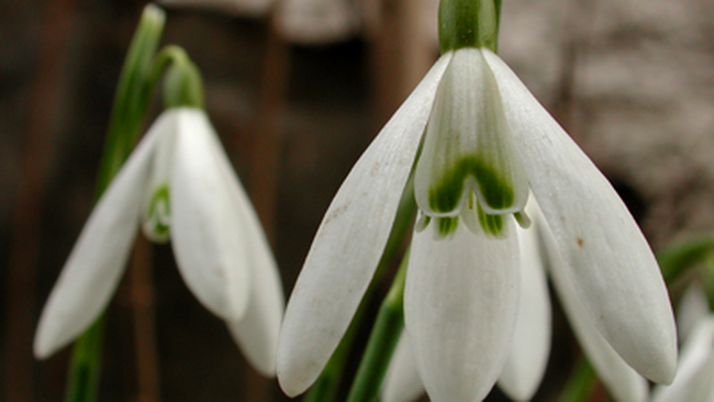 Click pe vremea.apropo.ro, pentru o prognoza meteo completa!