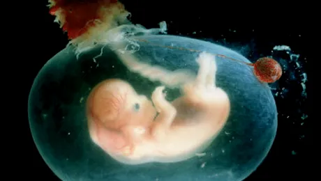 Fetita insarcinata la doar un an!