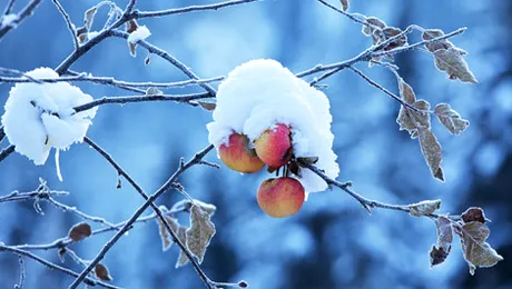 Vremea.Apropo.ro: Prognoza meteo pentru joi, 14 noiembrie 2013