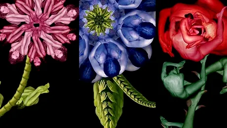 Cecilia Webber – artista ce foloseste nuduri pentru a da viata creatiilor sale (Poze)