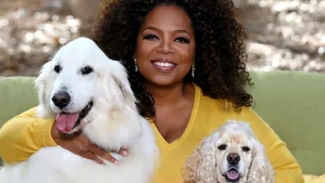 Oprah Winfrey a slăbit aproape 12 kilograme! Ce dietă a ţinut