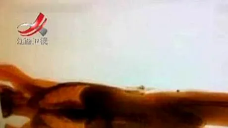 Uluitor: Un chinez a apărut pe scannerul cu raze X de bagaje (Video)