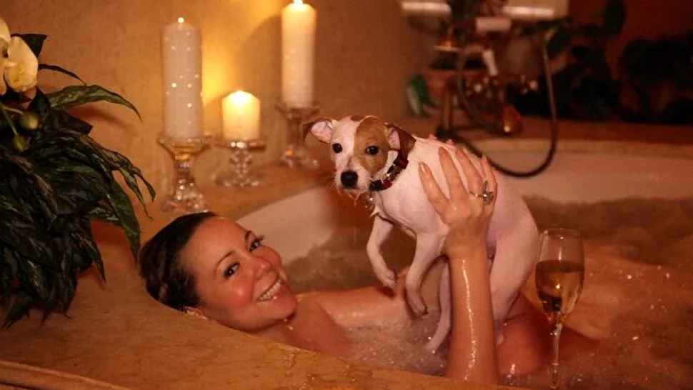 Mariah Carey scoate din buzunar 193.500 de dolari pentru o vacanţă a câinilor ei