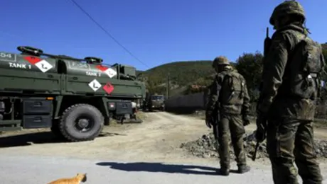 A ajuns în fața tribunalului militar pentru că a salvat viața unei pisici